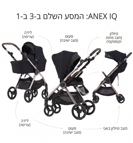 אנקס IQ
