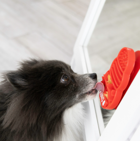 קונג משטח ליקוק ענק - Kong Licks Dog Feeder XL