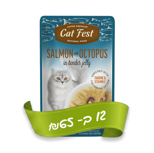 פאוץ סלמון ותמנון בג'לי לחתולים CatFest 85 גרם — חנות חיות חיות בעיר ויצמן 8 רחובות