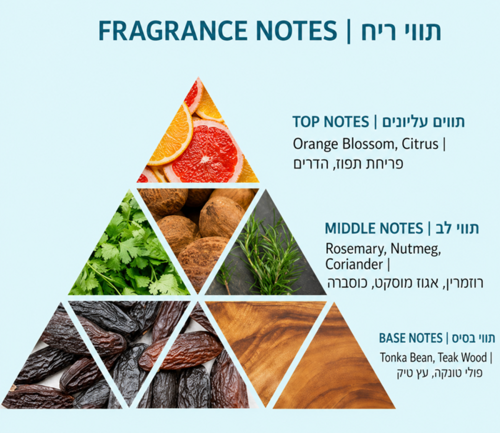 ג׳ל מקצועי לשיער VASSO Asymmetry ‏150 מ״ל