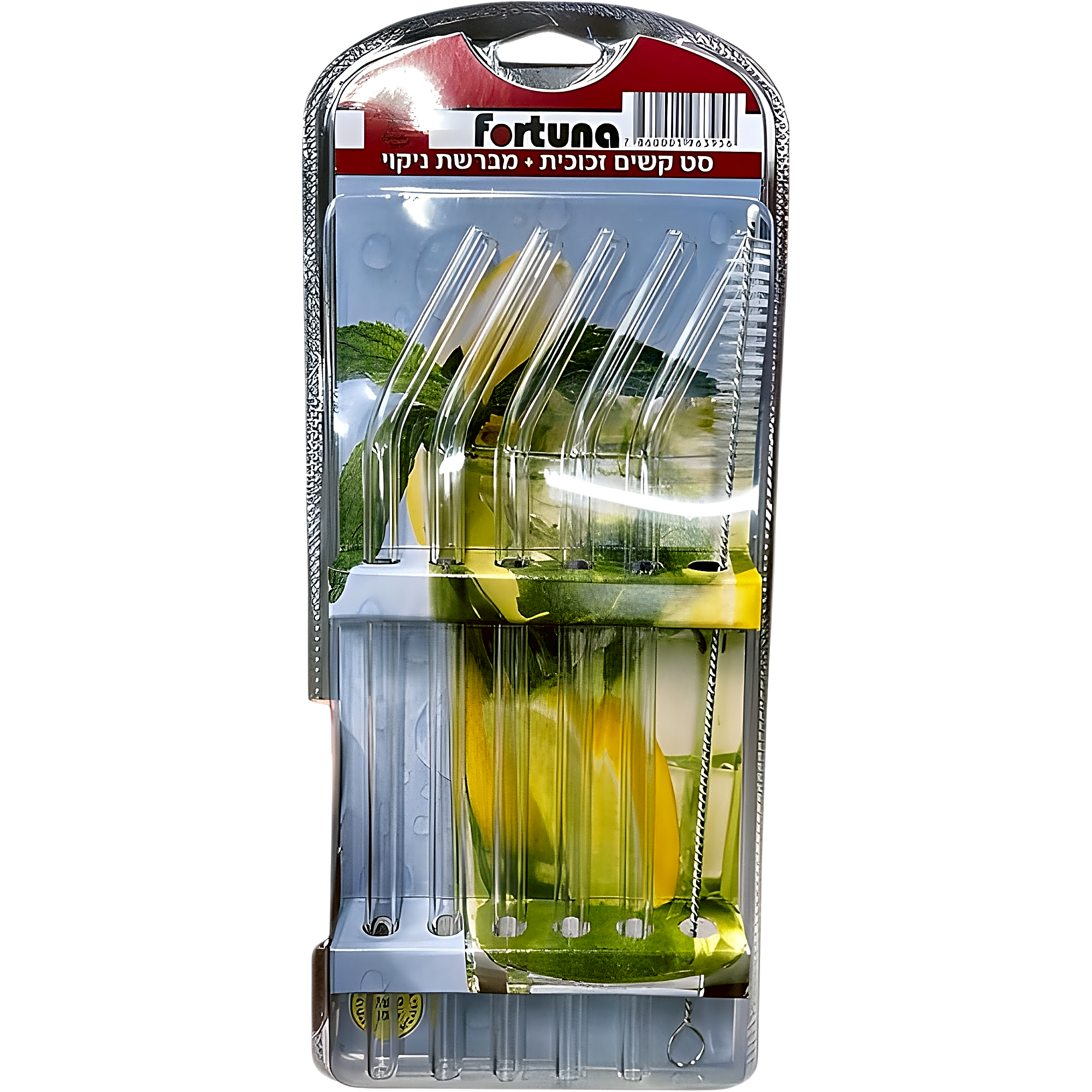 סט 5 קשיות זכוכית + מברשת ניקוי
