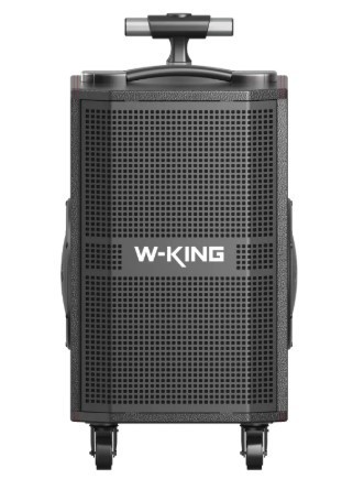 בידורית ושני מיקרופונים W-King K21SE 120W