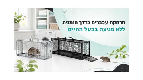 הרחקת עכברים בדרך הומנית ללא פגיעה בבעל החיים