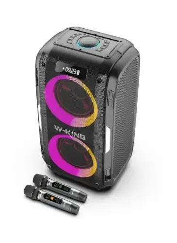 בידורית + 2 מיקרופונים T9 Pro 120W