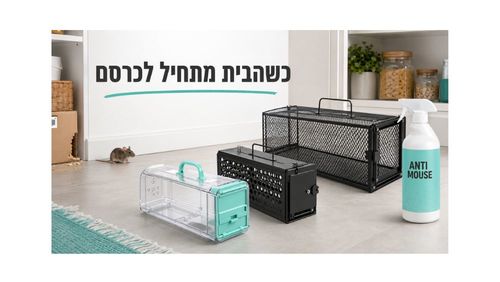 מלכודות הומניות ופתרונות להרחקת עכברים מהבית ללא פגיעה