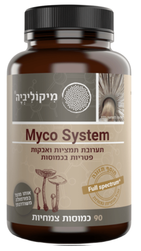 מיקו סיסטם מיקוליביה 90 כמוסות - Mycolivia Myco System 