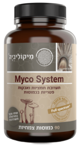 מיקו סיסטם מיקוליביה 90 כמוסות - Mycolivia Myco System 