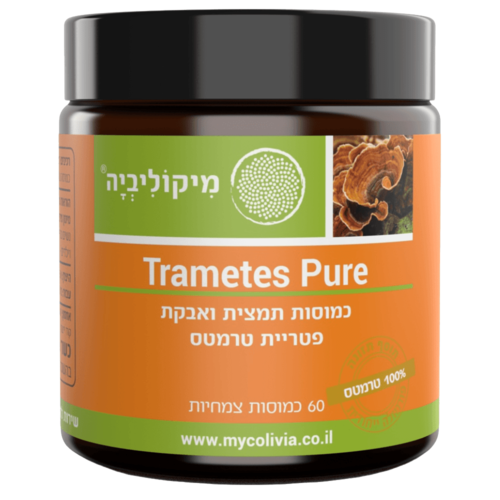 טרמטס פיור מיקוליביה 60 כמוסות - Mycolivia Trametes Pure