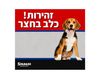 זהירות כלב בחצר 