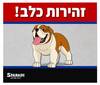 זהירות כלב 