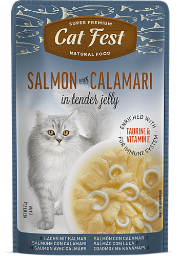פאוץ סלמון וקלמרי בג'לי לחתולים CatFest 70 גרם — חנות חיות חיות בעיר ויצמן 8 רחובות