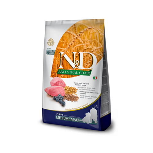 N&D אנסט מופחת דגנים כבש גור בינוני 12 ק