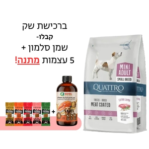 קוואטרו אקסטרה כבש בוגר גזע מיני 7 ק"ג