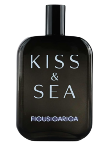 בושם קיס אנד סי פיקוס קריקה סמאם 100 מ״ל א.ד.פ - Kiss & Sea Ficus Carica Samam 100ML EDP