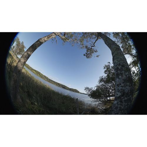 עדשה Canon RF 7-14mm f/2.8-3.5 L Fisheye STM