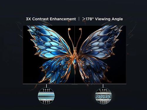 טלוויזיה חכמה TCL 75