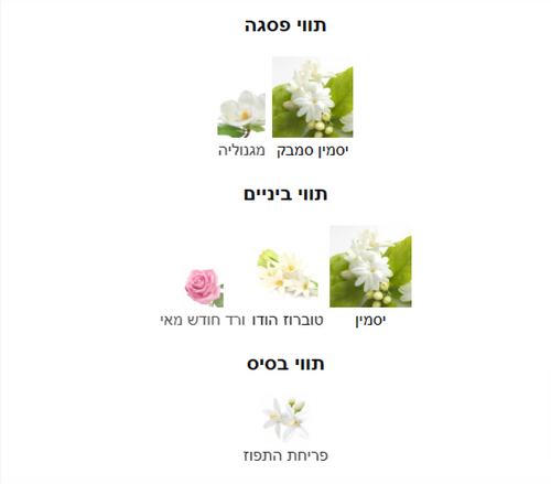 J101 women