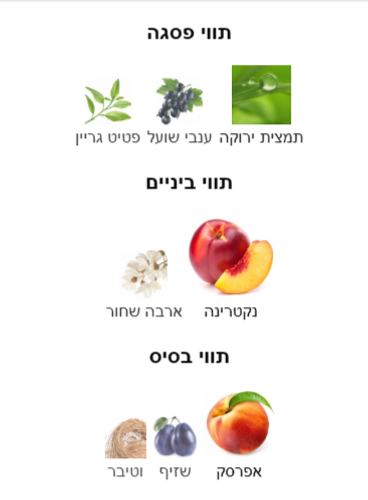 J104 או Q103