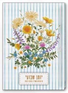 יומן שבועי 17/24 ס