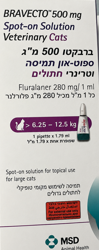 ברבקטו חתול 12.25-6.25 ק