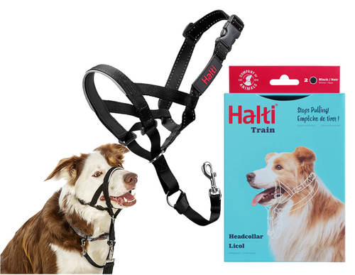 הלטי מידה 2 קולר ראש למניעת משיכות Halti Headcollar