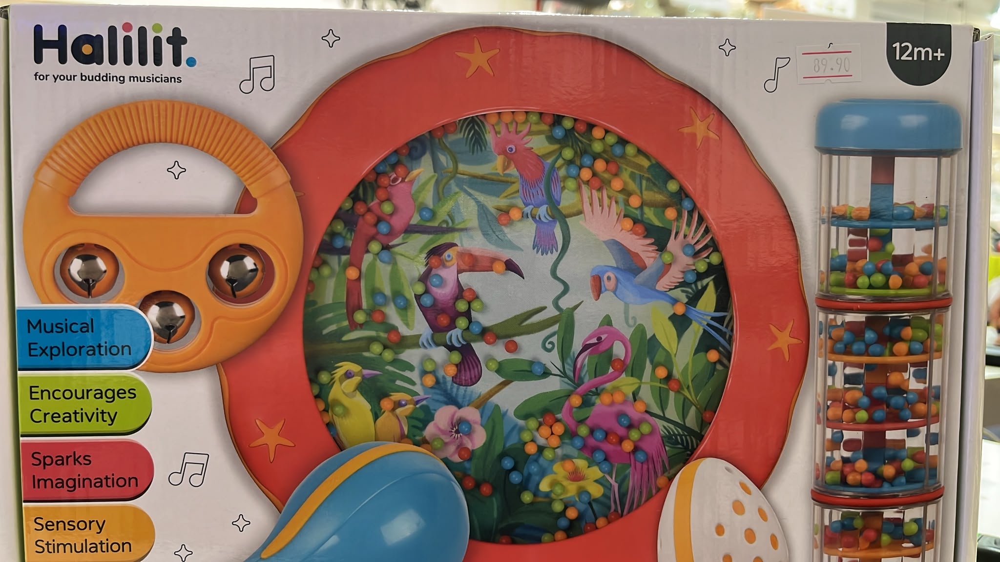להקת מוזיקה ביער הגשם