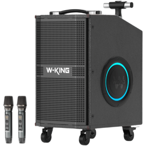 בידורית ניידת 120W עם שני מיקרופונים W-King K21SE