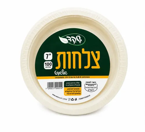 צלחות 