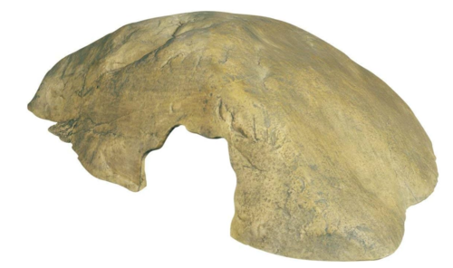 Exo Terra Reptile Cave Medium – מערת מסתור בינונית לזוחלים PT2852