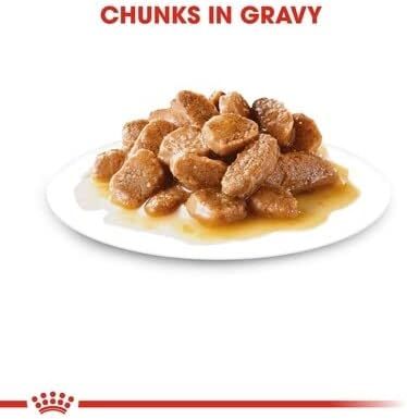 Royal Canin 85g mini Adult