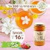 דבש דבורים טהור 350 גר' - פרחי בר משק פרדייס