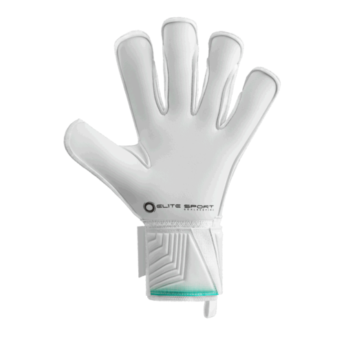 כפפות שוער מקצועיות   ELITE ARCTIK