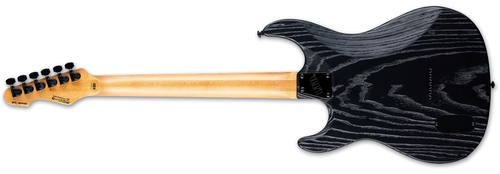 זווית נוספת esp ltd sn-1000ht silver blast electric guitar