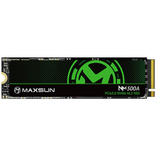 MS1TBNM300A-2280