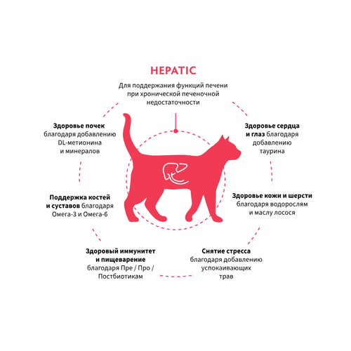 Grandorf VET 2kg Hepatic