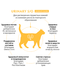 Grandorf VET 2kg S/O Urinary Moderate Calorie