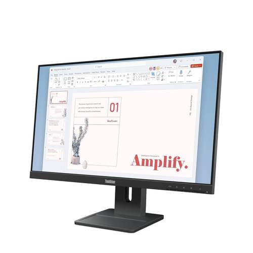 LENOVO ThinkVision E24-40  23.8