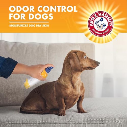 Arn&Hammer Odor Control 236ml