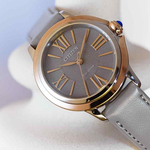 שעון סיטיזן Citizen EM1166-01Z לאישה בצבע אפור