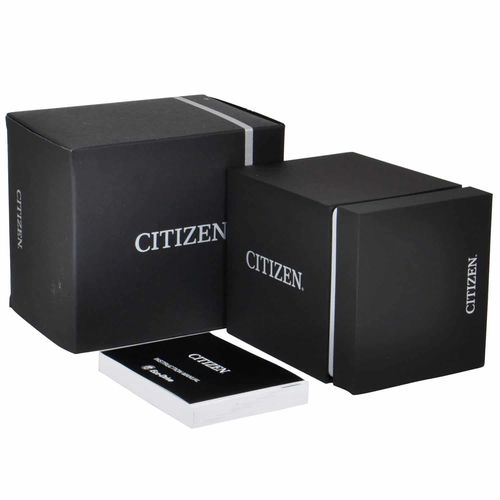 שעון סיטיזן Citizen EM1150-86D לאישה בצבע כסוף