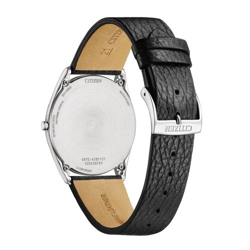 שעון סיטיזן Citizen AR3120-16A לגבר בצבע כסוף