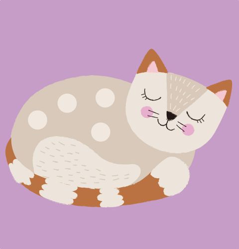 ערכת יצירה במדבקות לבד רב-פעמיות 12 כרטיסיות 62 מדבקות - חיות מחמד