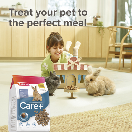 ביפהר מזון פרימיום לארנבים בוגרים 1.5 ק״ג | Beaphar Care+ Rabbit Food 