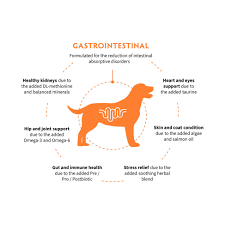 Grandorf VET 3kg Gastrointestinal
