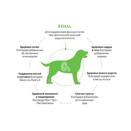 Grandorf VET 3kg Renal