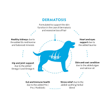 Grandorf VET 3kg Dermatosis
