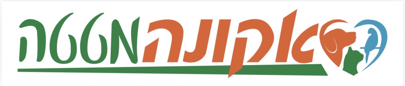החשיבות של טיפוח והיגיינה עבור הכלב