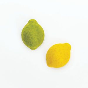 תבנית פוליקרבונט בוטן 21MA1099 Zesty
