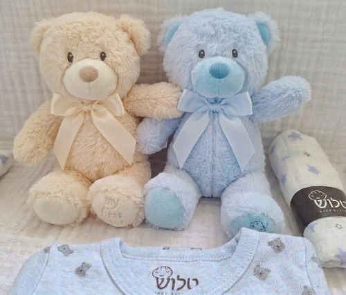 מארז לידה לתאומים 
