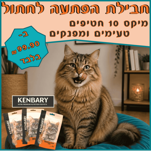 מיקס הפתעה 10 חטיפים לחתולים
